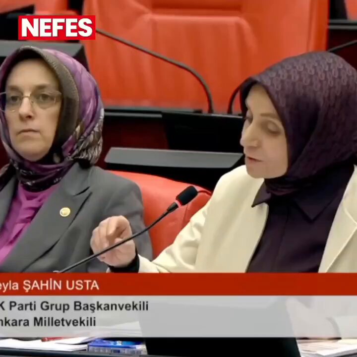 MHP'li TBMM Başkanvekili Celal Adan'dan AKP Grup Başkanvekili Leyla Şahin Usta'ya: "Kafayı yemiş bu!"