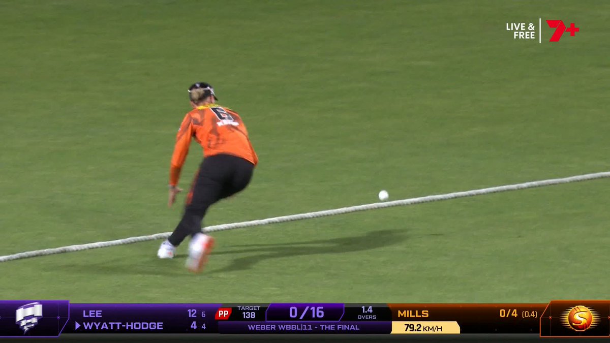 Dropped 😮 Wyatt-Hodge gets a life in the deep! #WBBL11