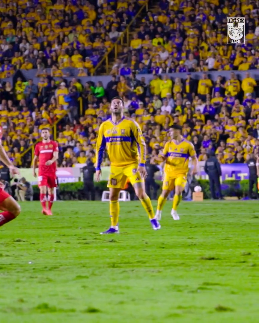 🇫🇷🐯| “Vovô” Gignac achando Brunetta no #Tigres sem sequer OLHAR PRA TRÁS! É muuuito diferente 🍷 TERRITÓRIO MLS 🌐