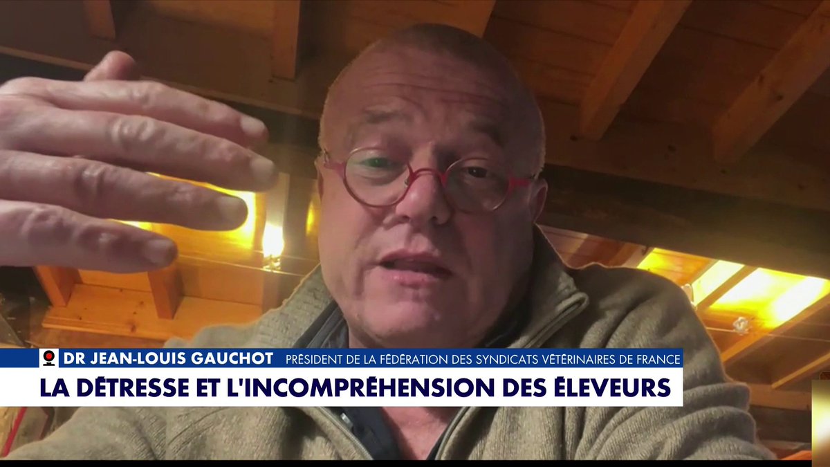 Docteur Jean-Louis Gauchot : «Le dépeuplement est la seule solution face à la dermatose car, actuellement, le vaccination est un échec total» #PunchlineWE