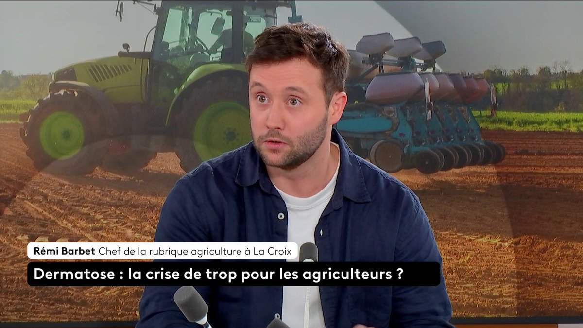 🔴 Crise agricole : "En Italie, notamment en Sardaigne, le protocole est le même mais l’insularité facilite le contrôle. En France, la crise est aggravée par une vague de désinformation", explique Rémi Barbet, chef de la rubrique agriculture à La Croix. #ToutEstPolitique #canal16