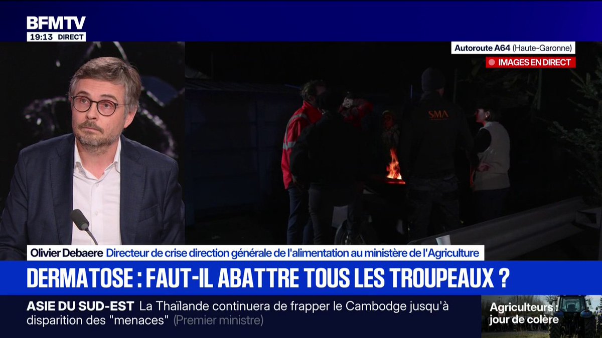 🗨️ "Si vous mettez la vache de côté, vous ne mettez pas le virus de côté" Olivier Debaere, directeur de crise au ministère de l'Agriculture, défend l'abattage en cas de détection de dermatose bovine