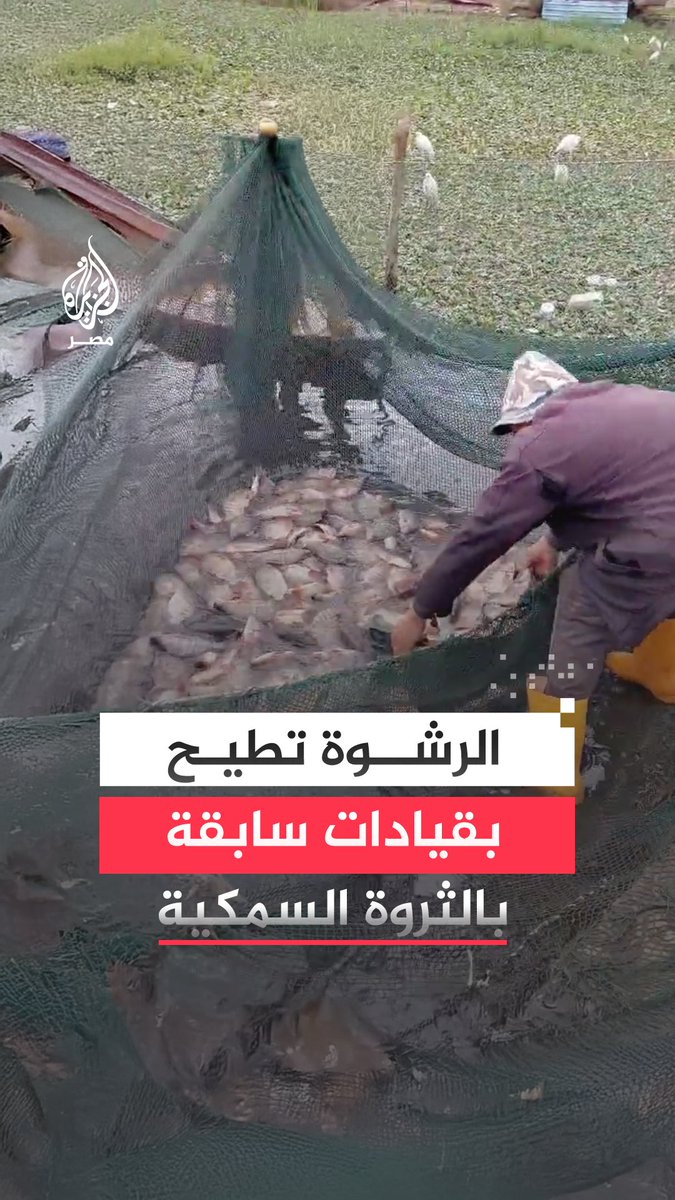 القبض على مستشار محافظ دمياط و 5 آخرين بتهمة الرشوه المتهمون تلقوا رشاوى بنحو 6 ملايين جنيه.. محافظة دمياط تكشف عن قضية رشوة كبرى لمسؤولين بالمحافظة وجهاز الثروة السمكية