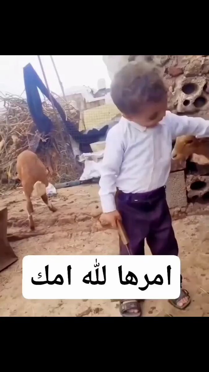 الام بتصور وبتضحك