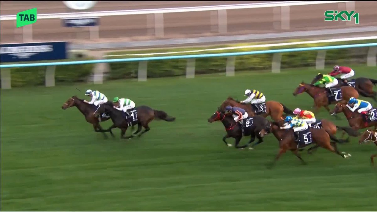 🔥 香港三冠馬 VS ラストランの名マイラー！ 🇭🇰 1600mのG1・香港マイル。前年覇者のヴォイッジバブルが差し返し、このレース連覇を達成。鞍上はザック・パートン騎手。 🇯🇵 引退レースのソウルラッシュは2年連続の2着、エンブロイダリーは後方で入線。 #競馬 #香港マイル