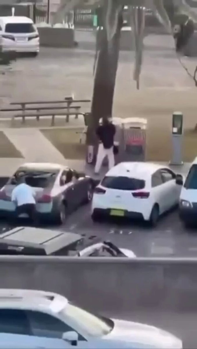 A young man from the Jewish community emerged as a hero during the Sydney Hanukkah party massacre. With extraordinary bravery, he confronted an armed terrorist with only his bare hands, managed to disarm him and neutralize the threat. His incredible courage not only saved many lives but also put his own life at risk.