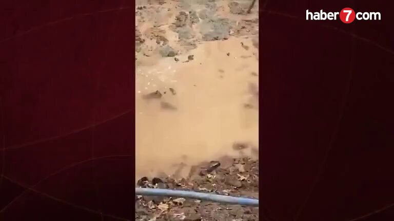 ⚠⚠⚠BU NASIL İŞ! 📽Batman'da çekilen görüntülerde bir binanın temel çukurunun tamamen su ile doluyken üzerine beton döküldüğü görüldü. ➥Hatalı beton dökümünün yapıldığı inşaatın hemen bitişiğindeki binanın, Batman İnşaat Mühendisleri Odası temsilciliği olduğu görüldü.