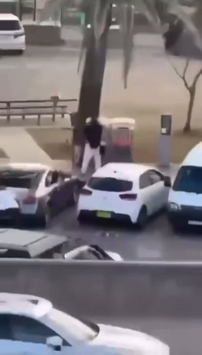 Mindestens zwei Täter haben während eines Chanukka-Festes am Bondi-Beach in Sydney, Australien, auf jüdische Menschen geschossen. Diese Aufnahmen zeigen, wie ein Mann todesmutig einen der Täter von hinten attackiert und ihm das Gewehr entreißt. What a legend! Held des Jahres! #sydney #bondibeach #chanukka #attack #hero