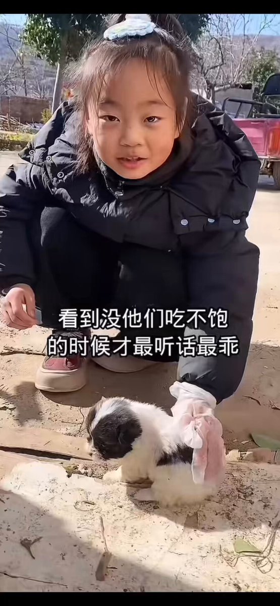 五岁小孩居然悟出了驭民之道！