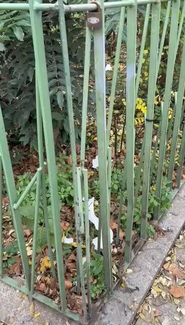 😡PAS MERCI à la mairie de #Paris qui a fait scier les grilles des #squares de la promenade Richard Lenoir, #Paris11, malgré l’opposition des #Parisiens et des #associations. Résultat : le square en face du Bataclan est transformé en toilettes publiques !