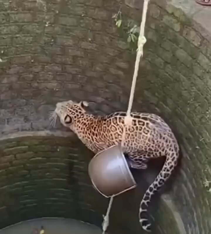 فريق الانقاذ يحتاج إلى فريق انقاذ 😂