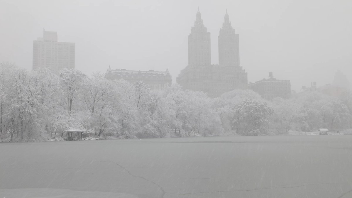 Let it snow, let it snow, let it snow! ❄️ Central Park finally welcomed the first measurable snowfall of the season! Enjoy these magical shots of the Park this morning. Huge shout out to all the #CentralParkConservancy staff members clearing pathways and keeping the Park safe.
