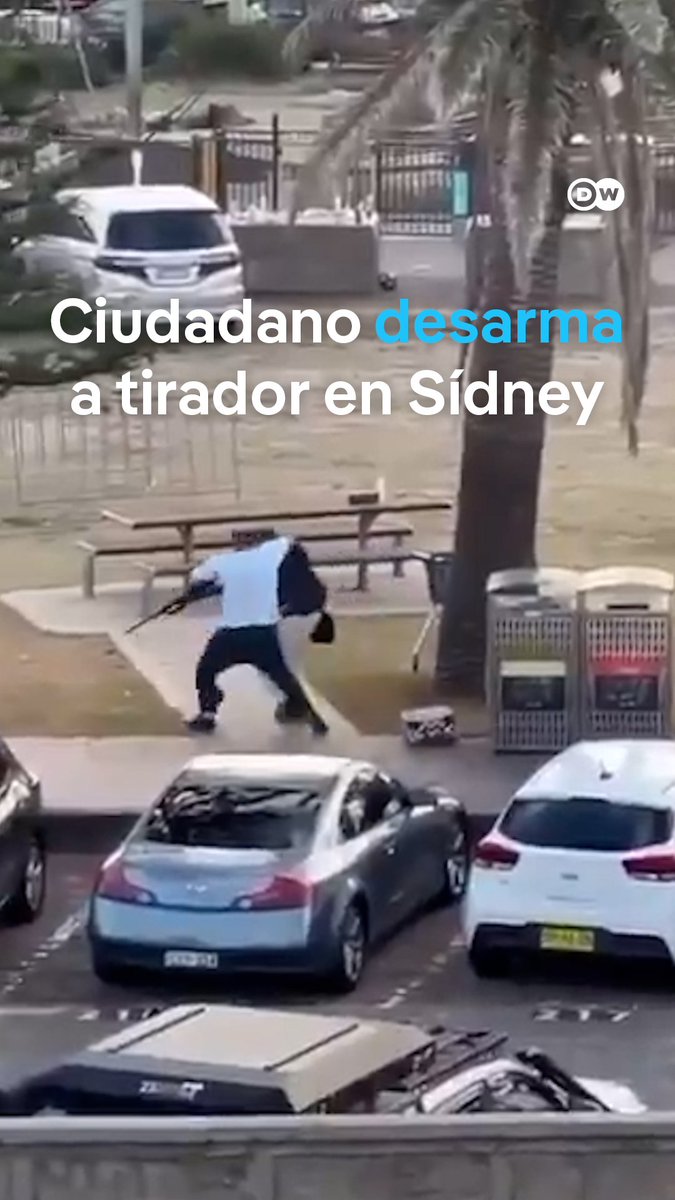 Hombre habría logrado desarmar a uno de los presuntos tiradores del ataque en la playa Bondi Un video difundido en redes y por medios locales muestra cómo aparentemente un ciudadano desarma a uno de los atacantes del atentado que vivió Sídney este domingo (14.12.2025). El ataque, que se dio durante un evento judío en la capital, ya ha dejado al menos 12 fallecidos. #Australia #playa #bondi #Albanese #tiroteo #Hanukka #terrorismo