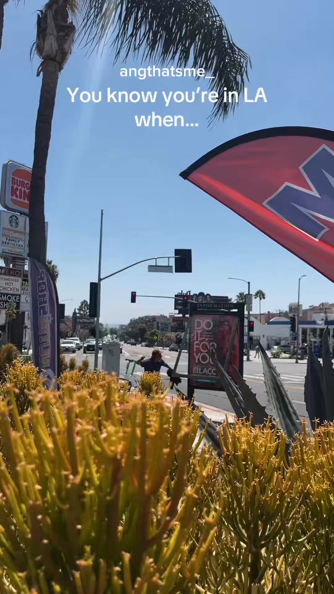 A man in Los Angeles, California is seeing violently beating the glass of an advertisement with a rock This is on Sunset and people drive by as if nothing is happening because everyone is so desensitized to this behavior in California This is Gavin Newsom’s leadership