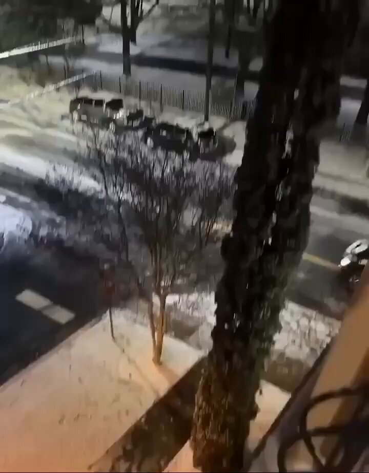 Adam istemeden hayatındaki en güzel parkı yaptı