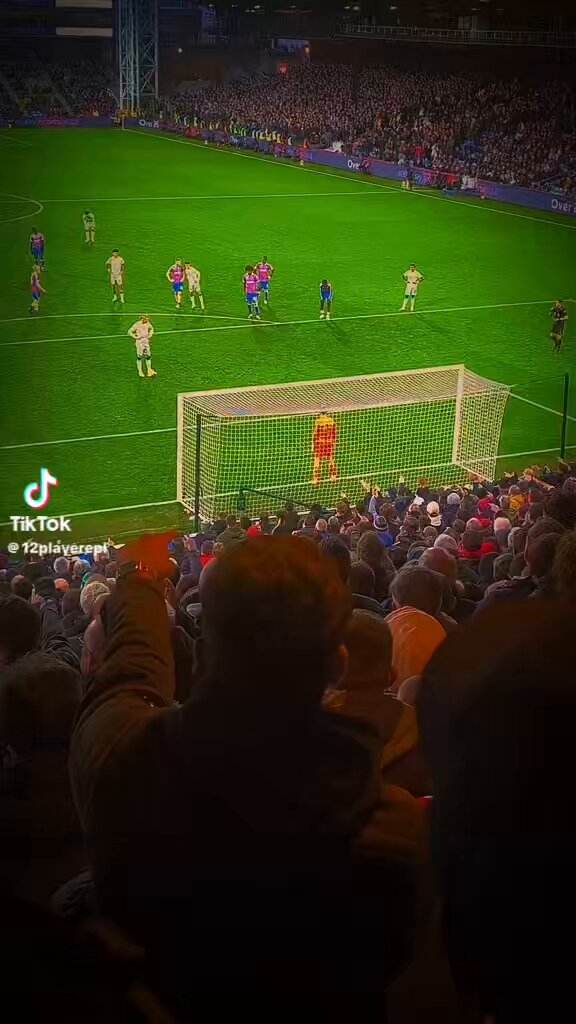 Bernardo silva annoying the Crystal Palace fans after Haaland scored the pen🤣🤣🤣🤣🤣