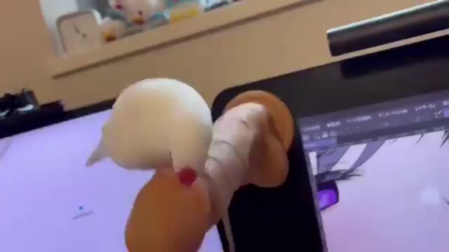 Um vídeo fofo para animar sua semana