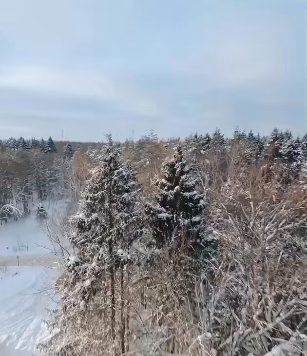 A drone operator was filming a forest when he unintentionally recorded a man sprinting through the trees, trying to outrun a bear