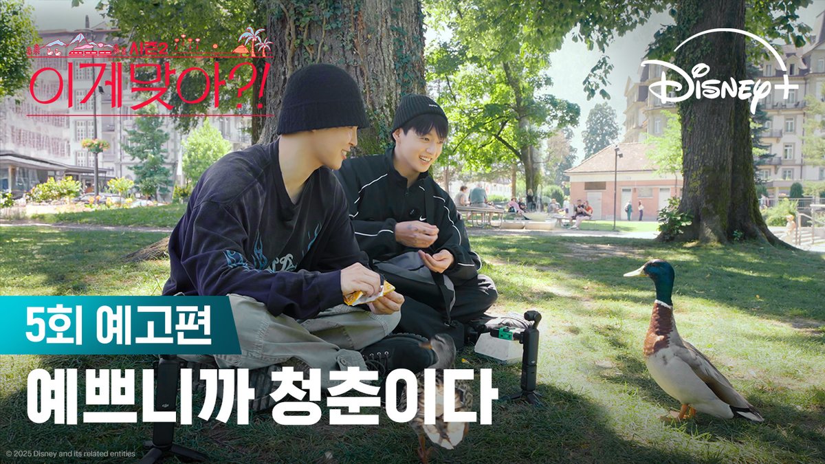 평온한 스위스의 하루를 보내는 도중 갑자기 여행 포기 선언을 한 지민?! 과연 지민의 운명은? <이게 맞아?! 시즌2> 지금 스트리밍 중 #이게맞아시즌2 #AreYouSureSeason2 #지민 #정국 #Jimin #JungKook #디즈니플러스 #DisneyPlusKR
