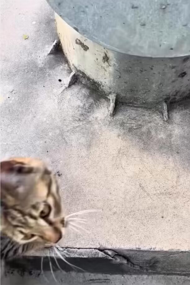 Historical Handshake