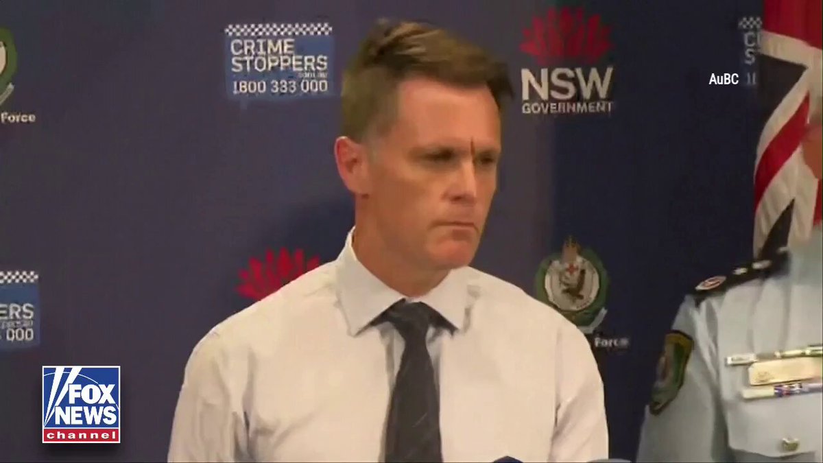 NEW: Chris Minns, the Premier of New South Wales, is calling for stronger gun-control measures in the wake of the deadly attack at Bondi Beach in Sydney, Australia, which left 15 victims dead. “It means introducing a bill to parliament to — I mean, to be really blunt — make it more difficult to get these horrifying weapons that have no practical use in our community.”