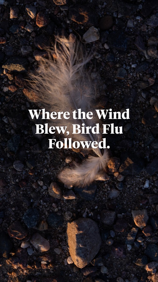 📽️ WATCH: After a bird flu outbreak tore through Midwestern barns, which led to 18 million hens being killed and a spike in egg prices, the Department of Agriculture didn’t investigate whether the virus was airborne. But ProPublica did:
