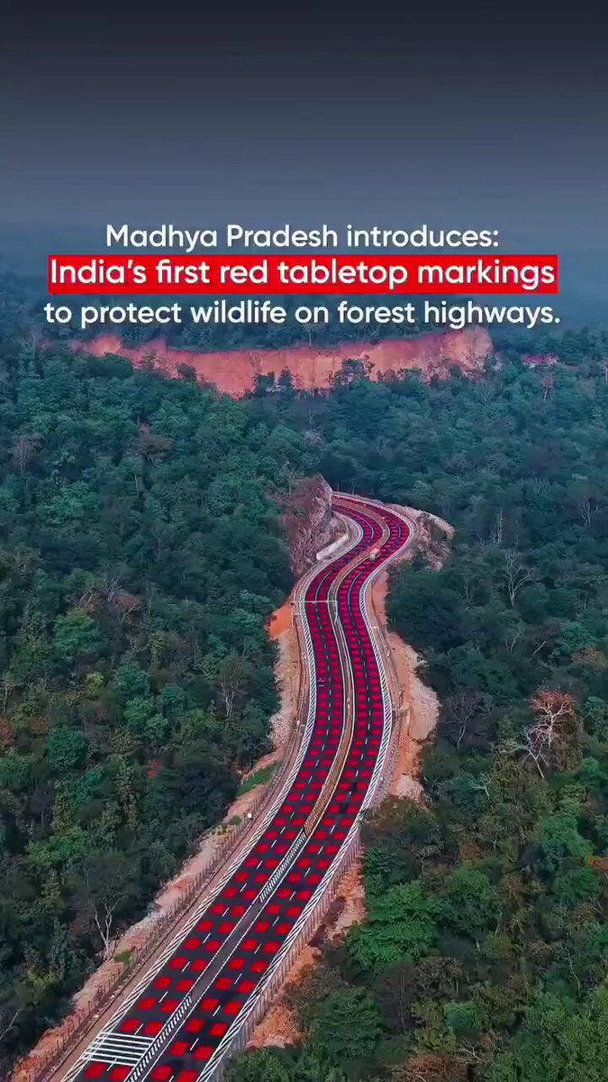 Madhya Pradesh has introduced India’s first elevated red road marking on a national highway to enhance wildlife safety. Implemented by NHAI on a 2-km stretch of NH-45 passing through the Veerangana Durgavati Tiger Reserve, the initiative is part of an 11.9-km highway expansion project. The 5-mm elevated red surface alerts motorists upon entering a wildlife-sensitive zone, naturally slowing vehicles and reducing animal-vehicle collisions—demonstrating how infrastructure development and wildlife conservation can coexist.
