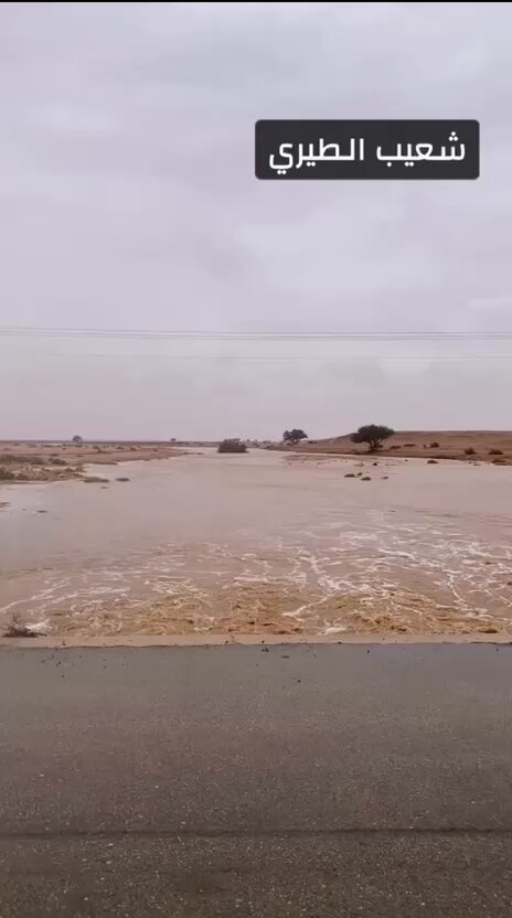 سيول شعيب الطيري باتجاه روضة التنهاة.