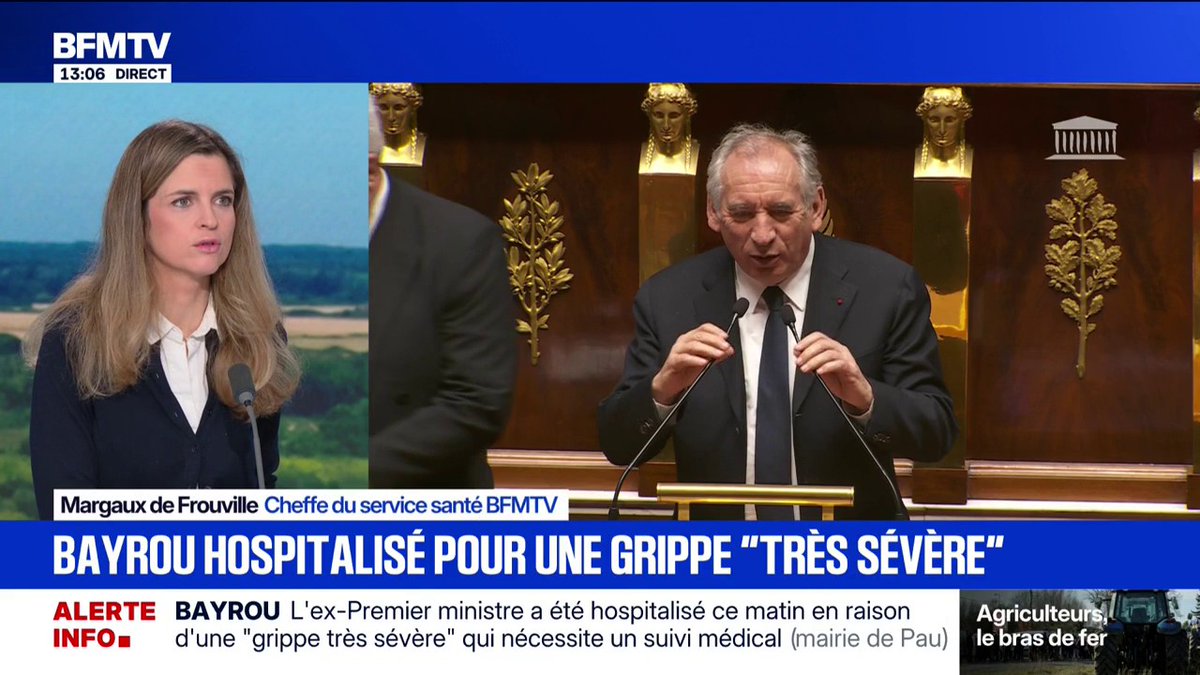 François Bayrou hospitalisé pour une "grippe très sévère", selon la mairie de Pau