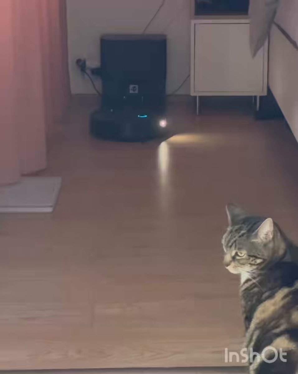 Roomba se snaží 12 minut zajet do stanice. Natočeno je pouze 5. Jako lidstvo ještě nejsme ztraceno. A pejsek celou dobu poslušně hlídal. #jetodebil