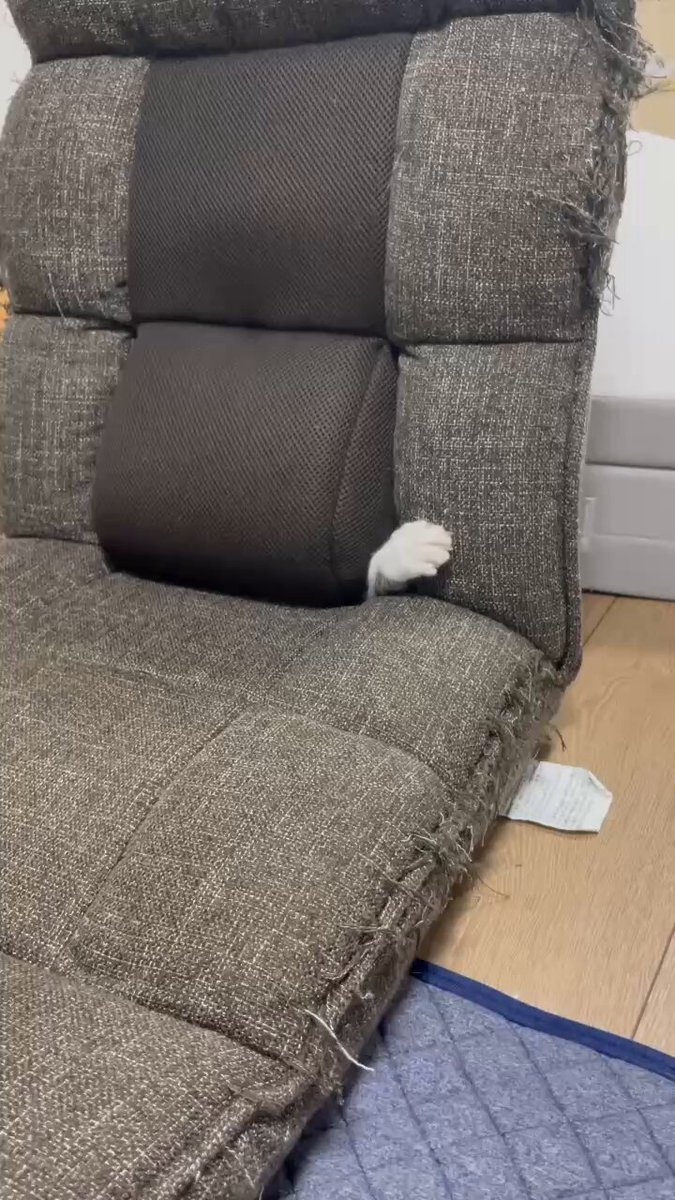 おもしろい隙間みつけたねえ