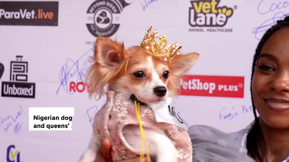 Dogs paraded in crowns and capes at the Lagos Dogs Carnival as pet owners celebrated their companions