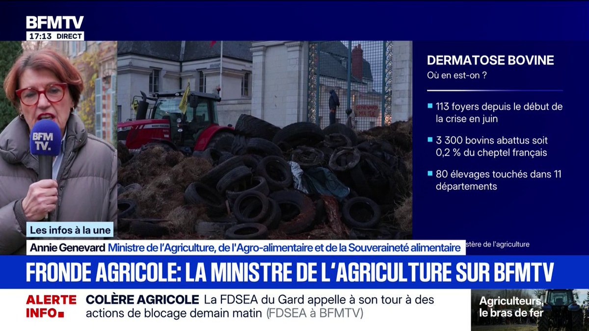 Dermatose nodulaire contagieuse: “J’ai entendu ce que m'ont dit les agriculteurs”, explique Annie Genevard, ministre de l’Agriculture