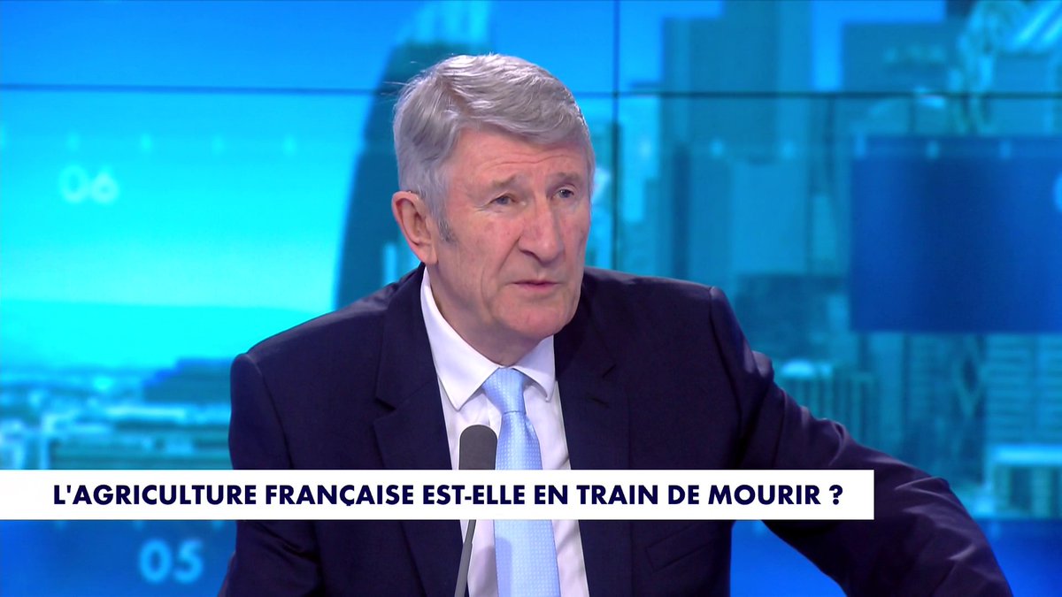 Philippe de Villiers : «Israël, pour les islamistes, c’est la pointe diamantée de l’Occident», dans #Punchline
