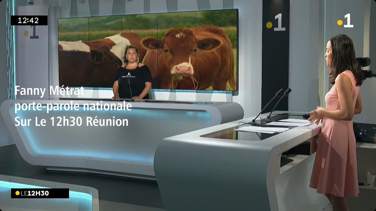 🚨🔎#DNC : la maladie n'a jamais touché la France, vous en êtes certaine Mme Pierre-Paul Genevard ? Si en 1992 à La Réunion et avec quel protocole : vaccination élargie et abattage partiel !! Fanny Métrat, porte-parole nationale, en direct dans le 12h30 de Réunion la 1ère Agence France-Presse