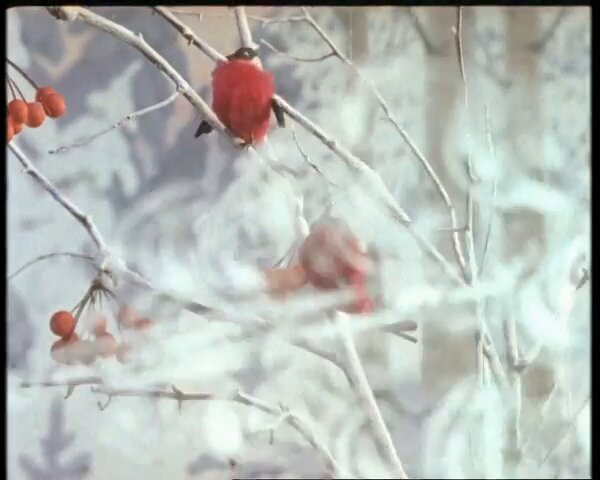 "A New Year's Tale". Excerpt from 1972 Soviet animated film.
