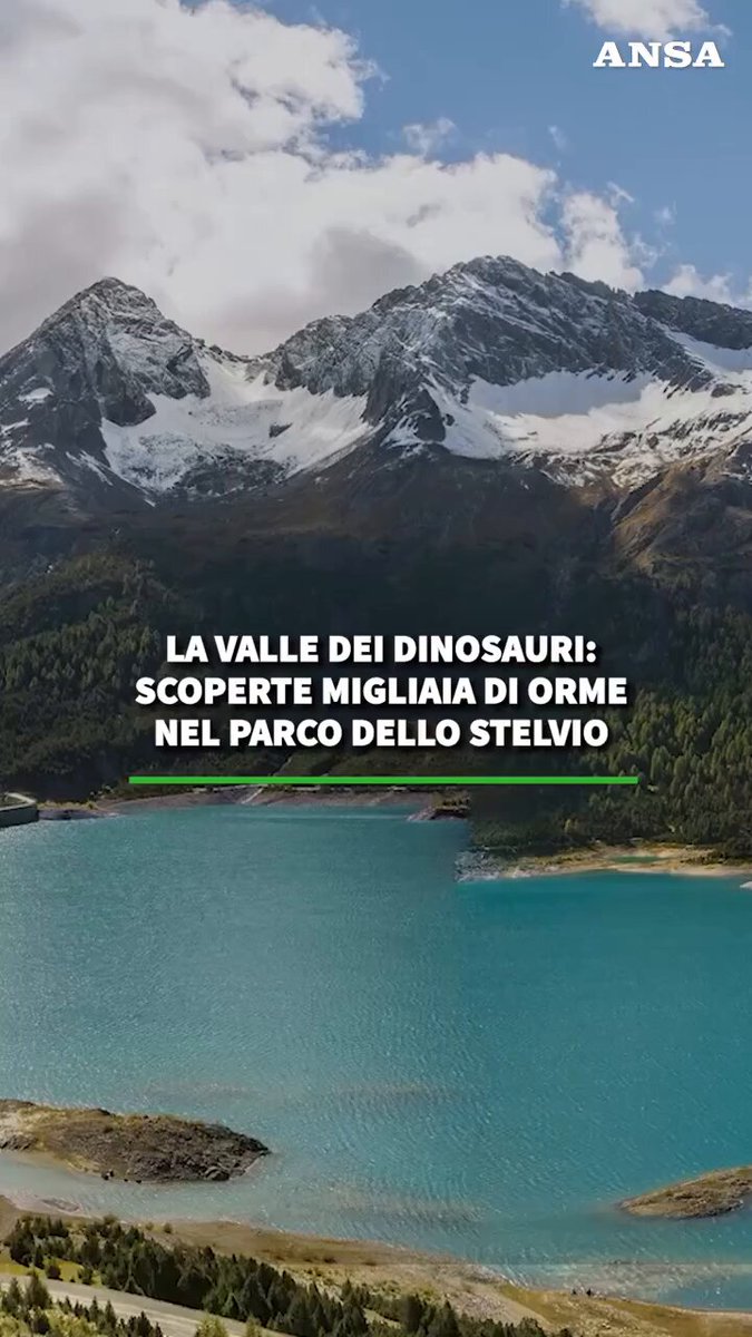 VIDEO | Scoperte migliaia di orme di dinosauri nel Parco dello Stelvio. Sono di grandi erbivori vissuti 210 milioni di anni fa. #ANSA