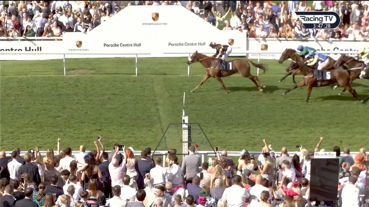 HAVE YOU EVER SEEN THIS BEFORE?! 🤣🤣🤣 Flat horse Asmund JUMPED over the line at Beverley in 2023 🤯 🎬 Racing TV