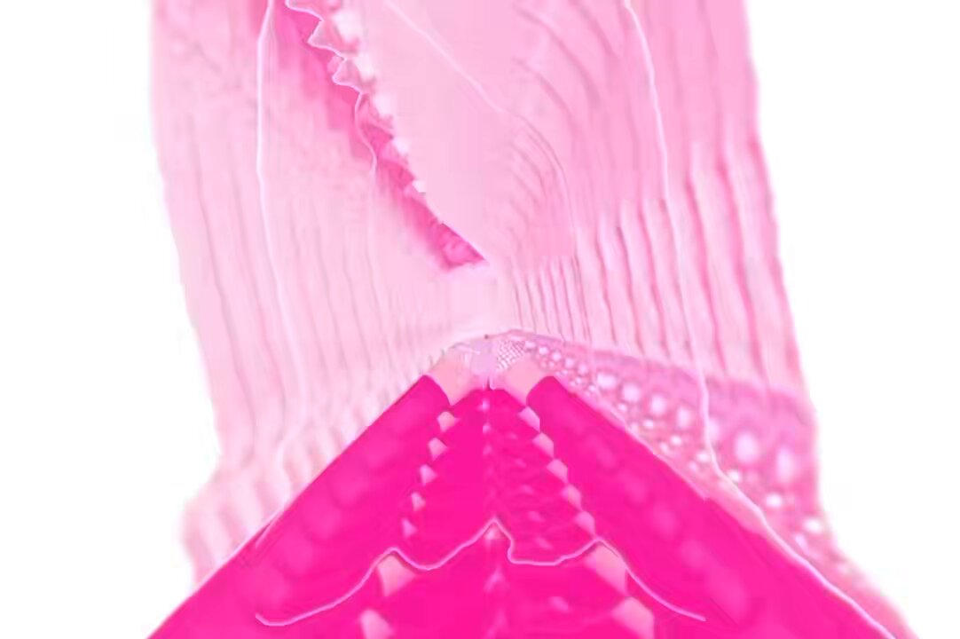 Ended the entirety of Pink Friday 2 in one song.