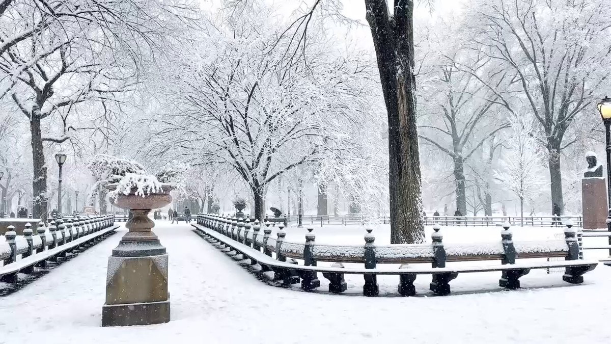 Peaceful and beautiful #snow falling in Central Park during #NYC’s first big #snowfall of the season yesterday. #NewYork #NewYorkCity #CentralPark