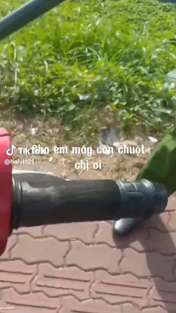 Hôm qua có bắt Gà, vịt rồi hôm nay là chuột đồng… Bây giờ các loại này mà đem đi bán là công an kiểm tra nguồn gốc xuất xứ hàng hóa ….!!? Vậy là coi chừng Cá , Tôm, Cua đồng, cũng sẽ vào chung số phận!! 🤣🤣🤣