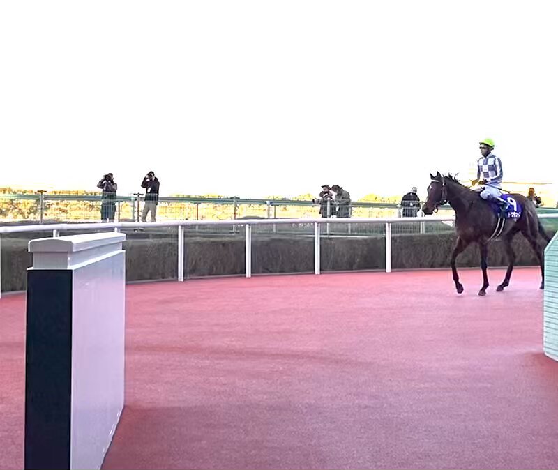 【Ｇ１回想録】２１年朝日杯ＦＳドウデュース 武豊騎手は２２度目の騎乗でレース初制覇。 ＪＲＡ平地Ｇ１コンプリートに王手をかけました。 Ｇ１で５勝を挙げたドウデュースは今年から種牡馬入りして、さっそく２０２頭と交配する〝モテ男〟ぶり。 年明けには産駒が誕生する見通しです。