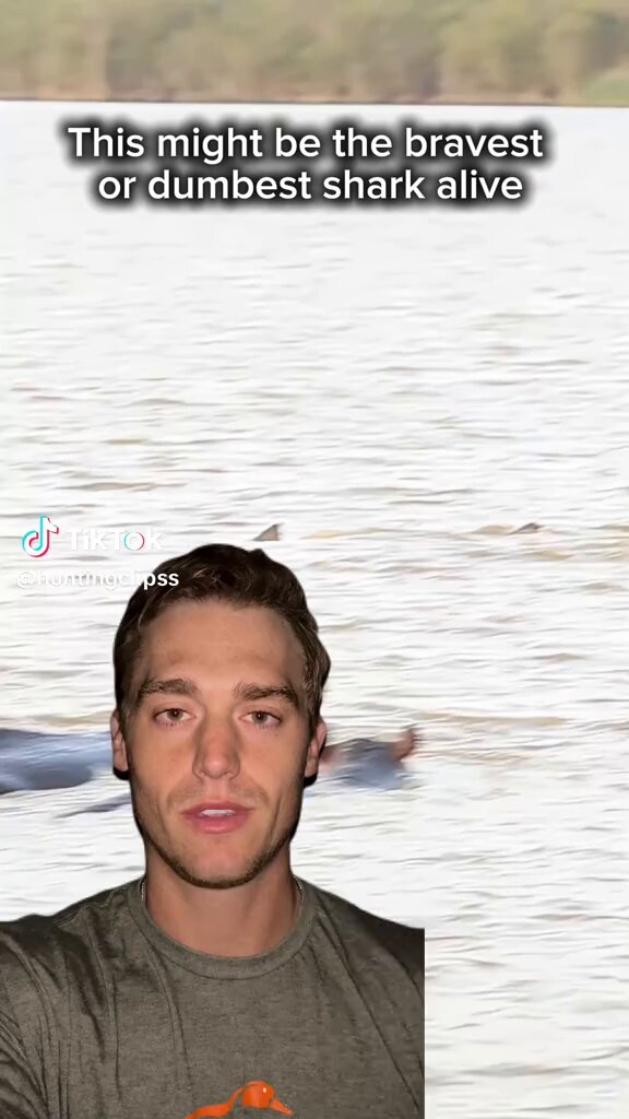 That Shark never met the Hippo before 😂😂 #videosvuvu