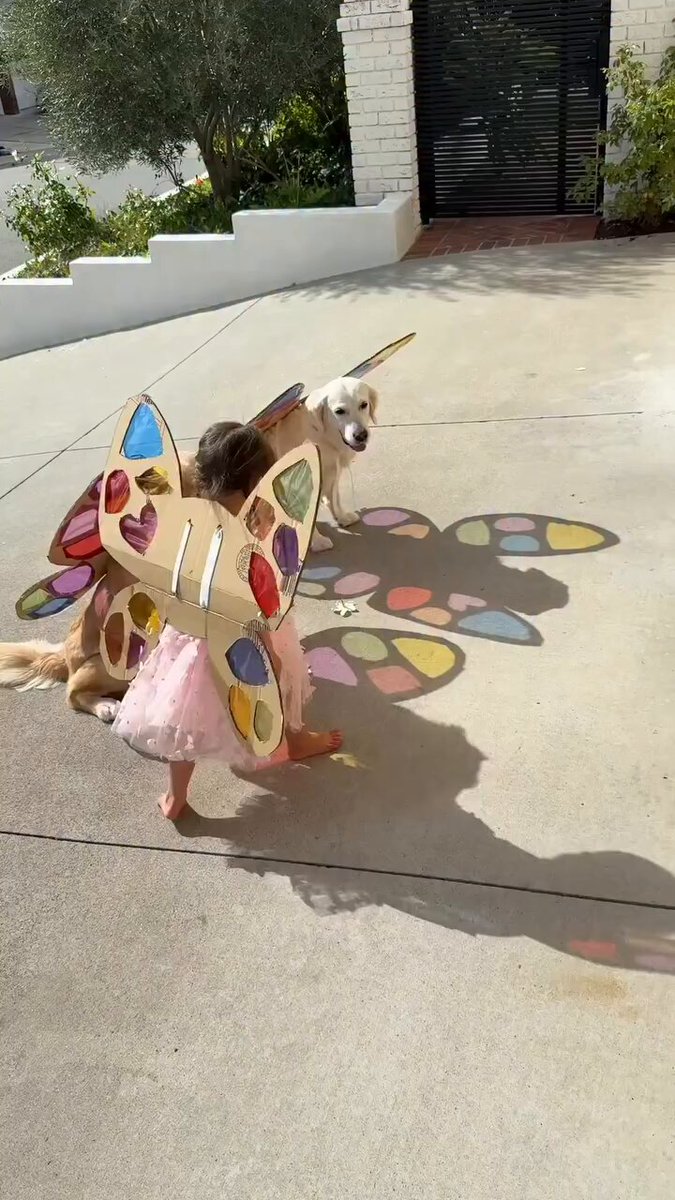 Cute Angels with beautiful wings