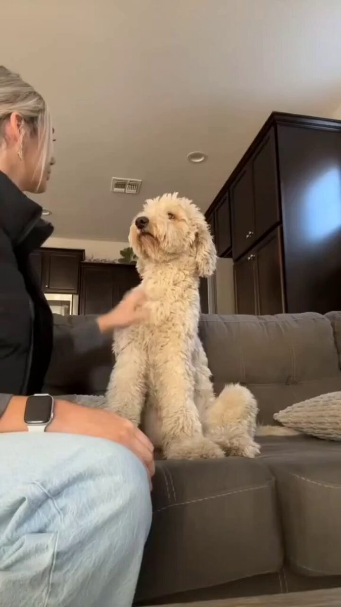 Dog's reaction to being hugged..🐶🐾😊❤️