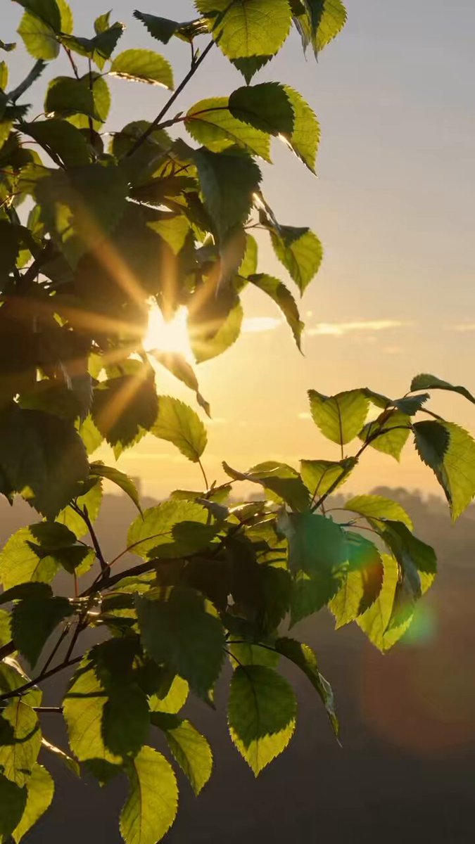 أهلًا 2026 🤍 بعد النجاح الكبير لتقويم أبجورة 2025 ونفاد الكمية بأيام محدودة.. نعود لكم هذا العام بتقويم جديد أنيق ومميز 📆 نشارككم بحب النسخة الجديدة من تقويم أبجورة 2026 😍 اقتنوها لأنفسكم أو كهدية أنيقة لأحبابكم✨ 🔗