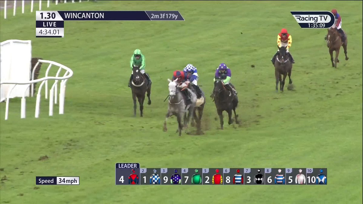 𝟏,𝟐𝟎𝟎 𝐁𝐫𝐢𝐭𝐢𝐬𝐡 𝐰𝐢𝐧𝐧𝐞𝐫𝐬 Champion Sean Bowen marches on with Irish point winner Hold The Serve the latest to add to the tally, scoring for Olly Murphy at Wincanton Racecourse