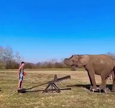 Too beautiful teamwork.