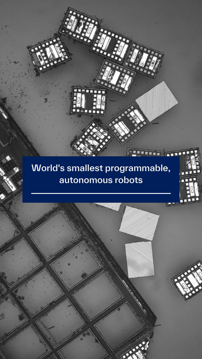 Introducing the world's smallest, fully programmable, autonomous robots. Created by Marc Miskin of @Penn_ESE and David Blauuw of Michigan Engineering, the microscopic robots can independently sense and respond to their surroundings, operate for months and cost just a penny each.
