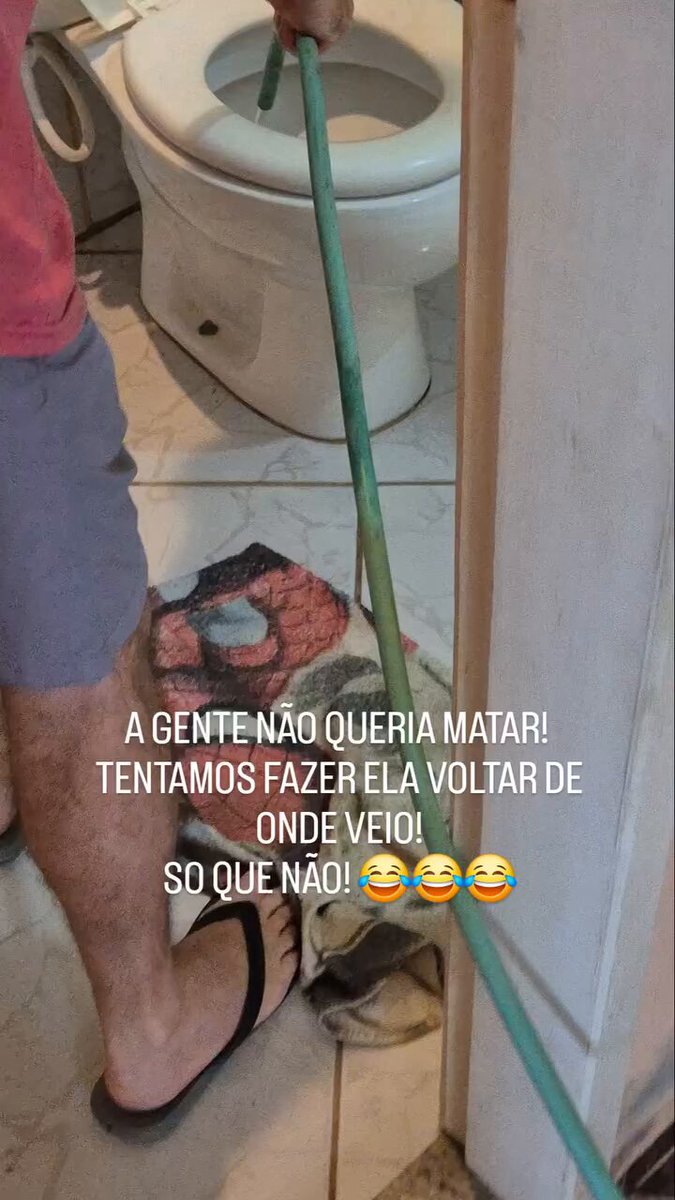 eu nunca mais usava esse vaso